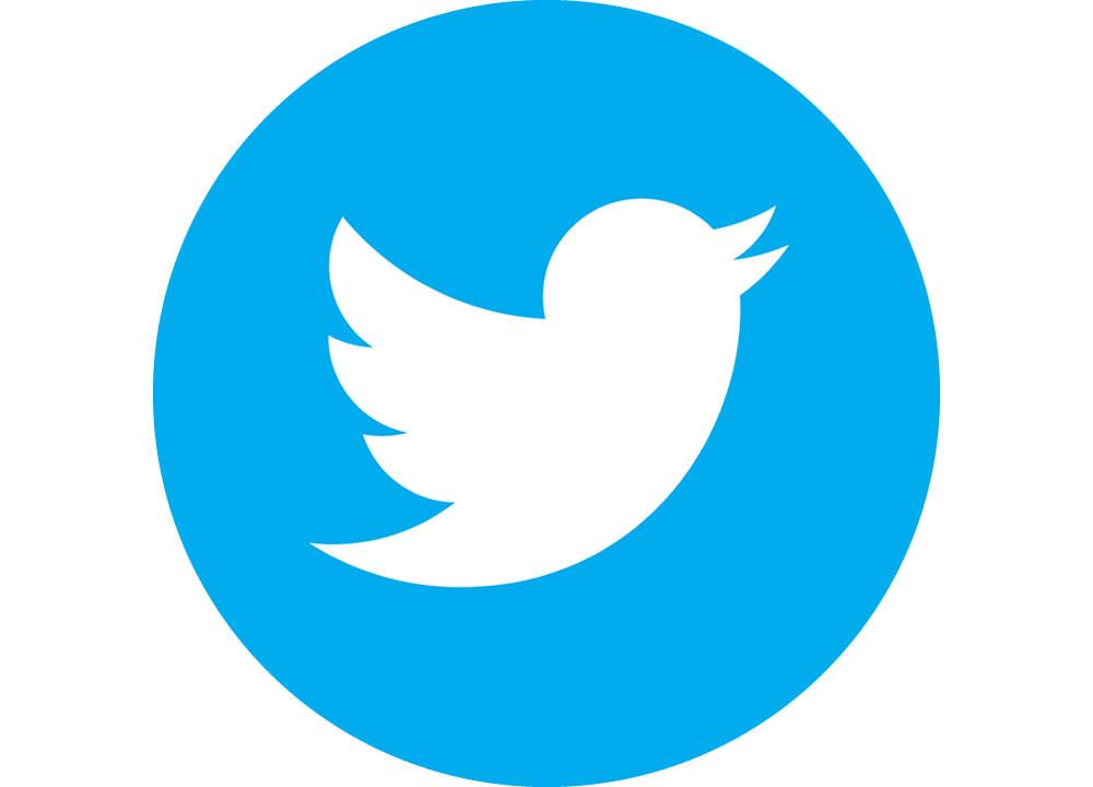 Twitter Logo