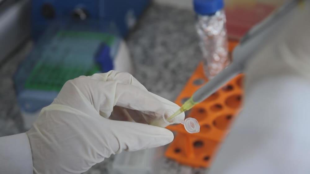 Desenvolvimento vacina contra cocaína e crack