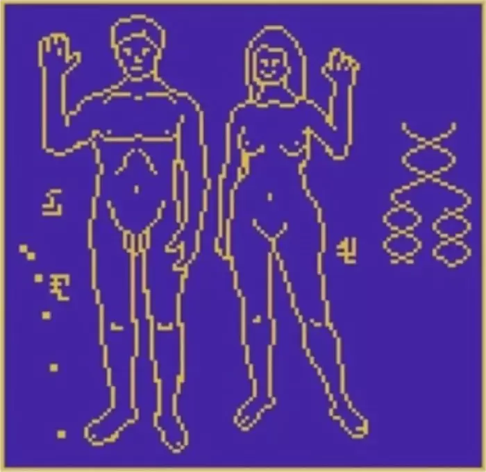 ilustração humanos nude nada