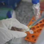 Vacina brasileira contra dependência de cocaína e crack é finalista de prêmio internacional Desenvolvimento-vacina-contra-cocaina-e-crack