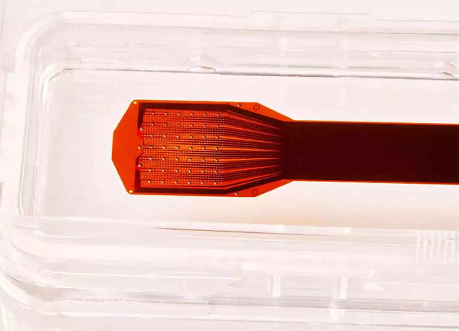 Chip cerebral da Precision Neuroscience