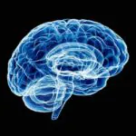 raio-x-cerebro-istock